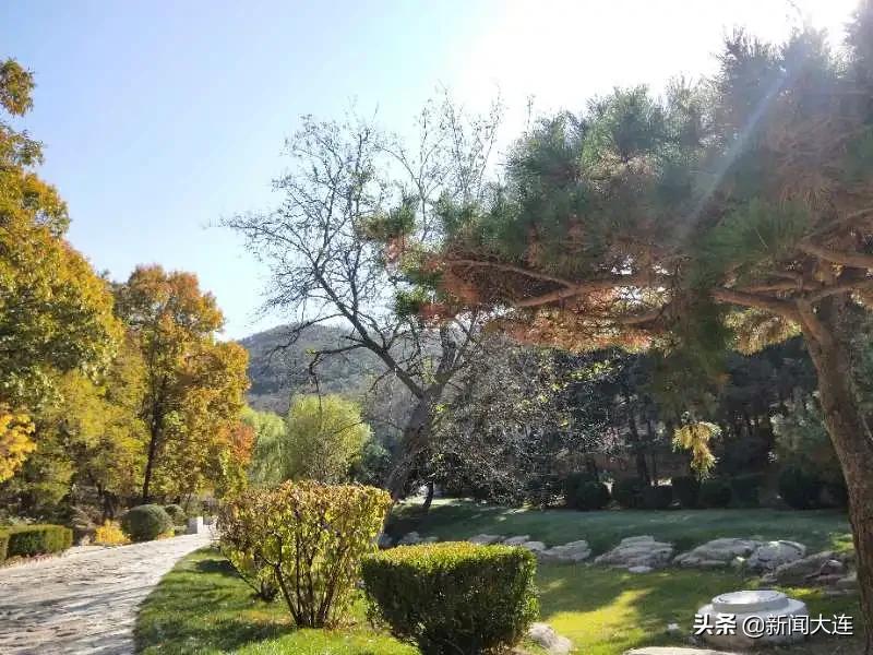 赏秋不必远行！大连这些地方美得正当时