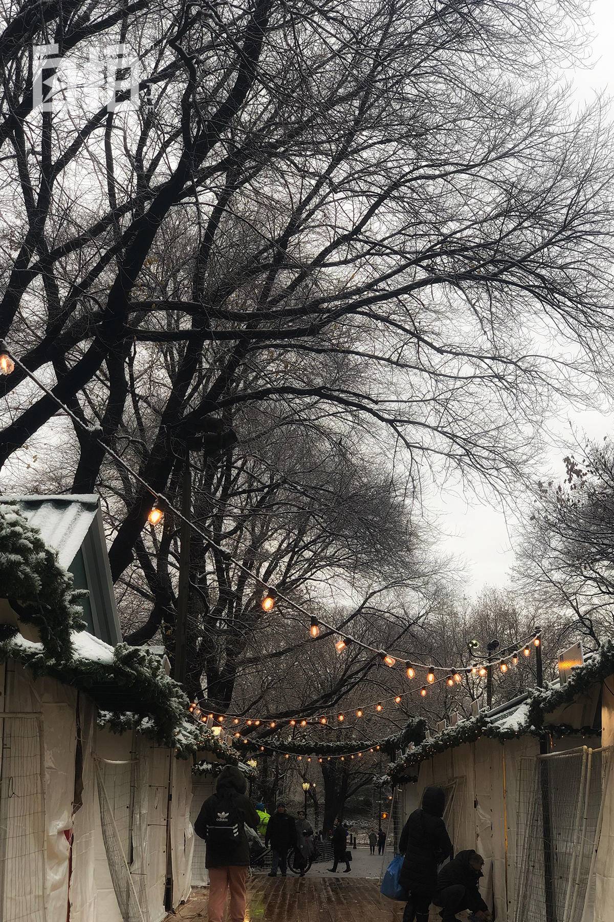 单身女性可以冷冻卵子吗,百万年薪女子冻卵纪录片