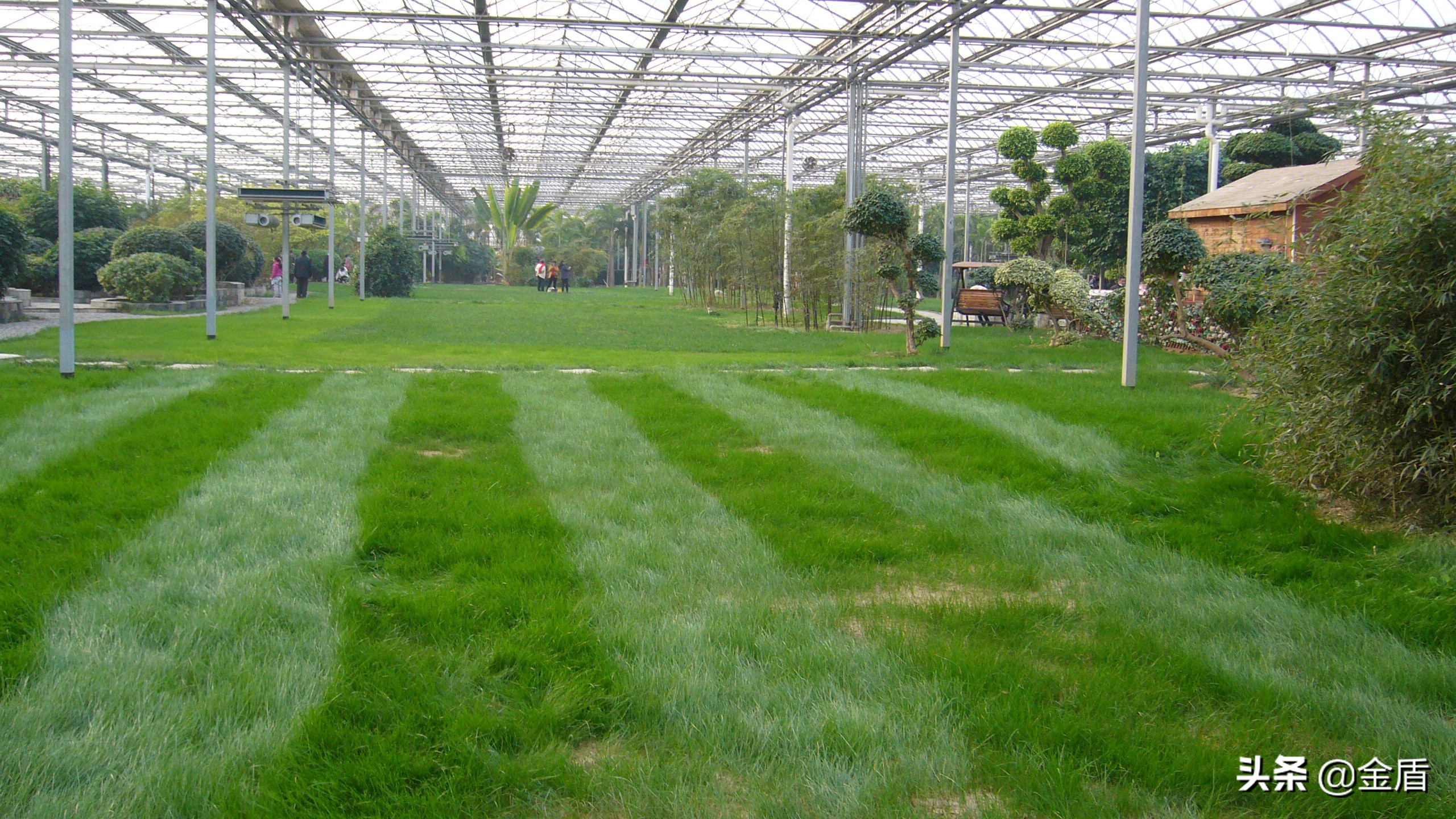 九天休闲谷俯视图,九天休闲谷适合春天去吗