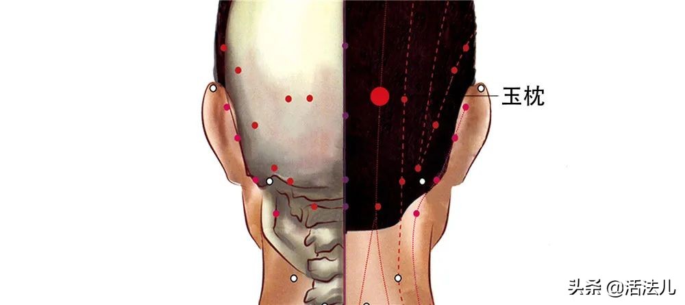 一到秋冬季大量脱发怎么预防,入秋脱发入冬变好
