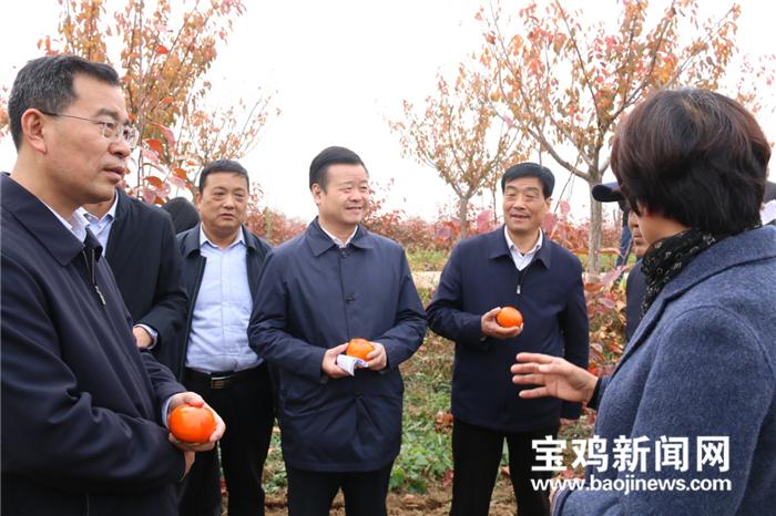 甜柿子宝鸡,甜柿产业助力乡村振兴