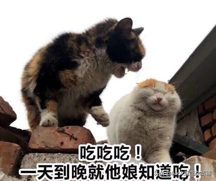 泰国最便宜的餐厅，就连前总理英拉都去打卡过