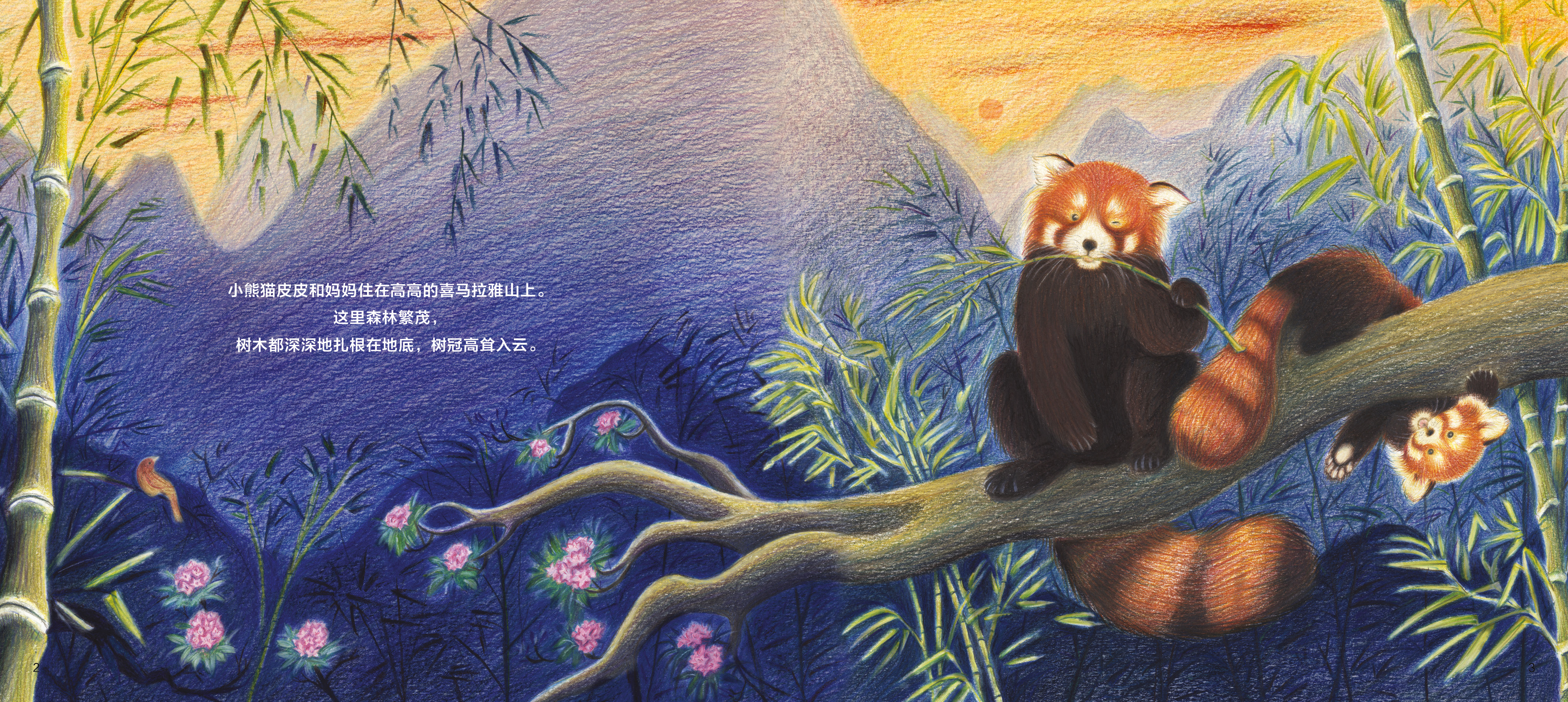 小熊猫回家路图书,小熊猫回家路