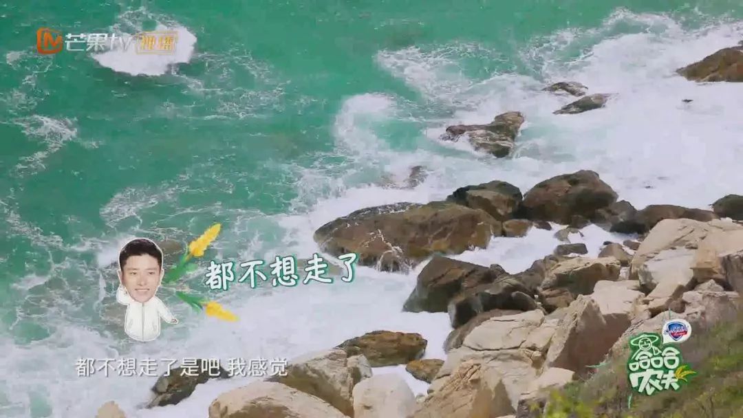 《哈哈农夫》西岛站：王源、杨超越、贾乃亮、金瀚说出明星的烦恼