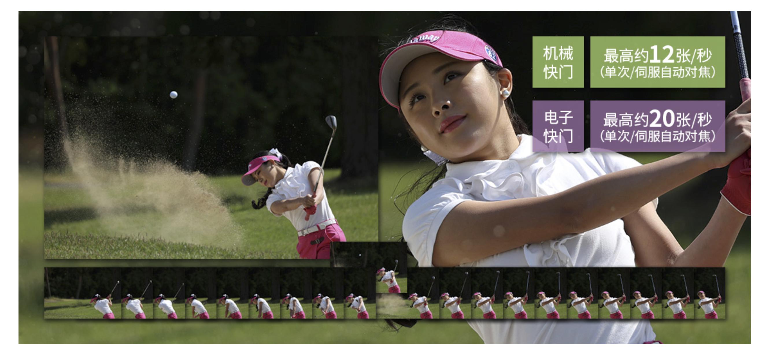 佳能哪款全画幅最值得买,佳能最便宜的全画幅无反相机