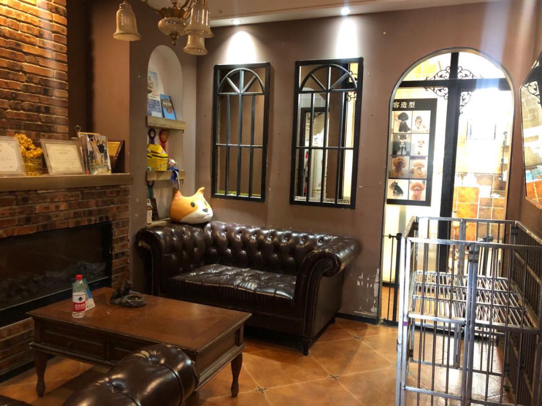 北京月流水超百万的猫狗活体专卖店,都有啥套路?