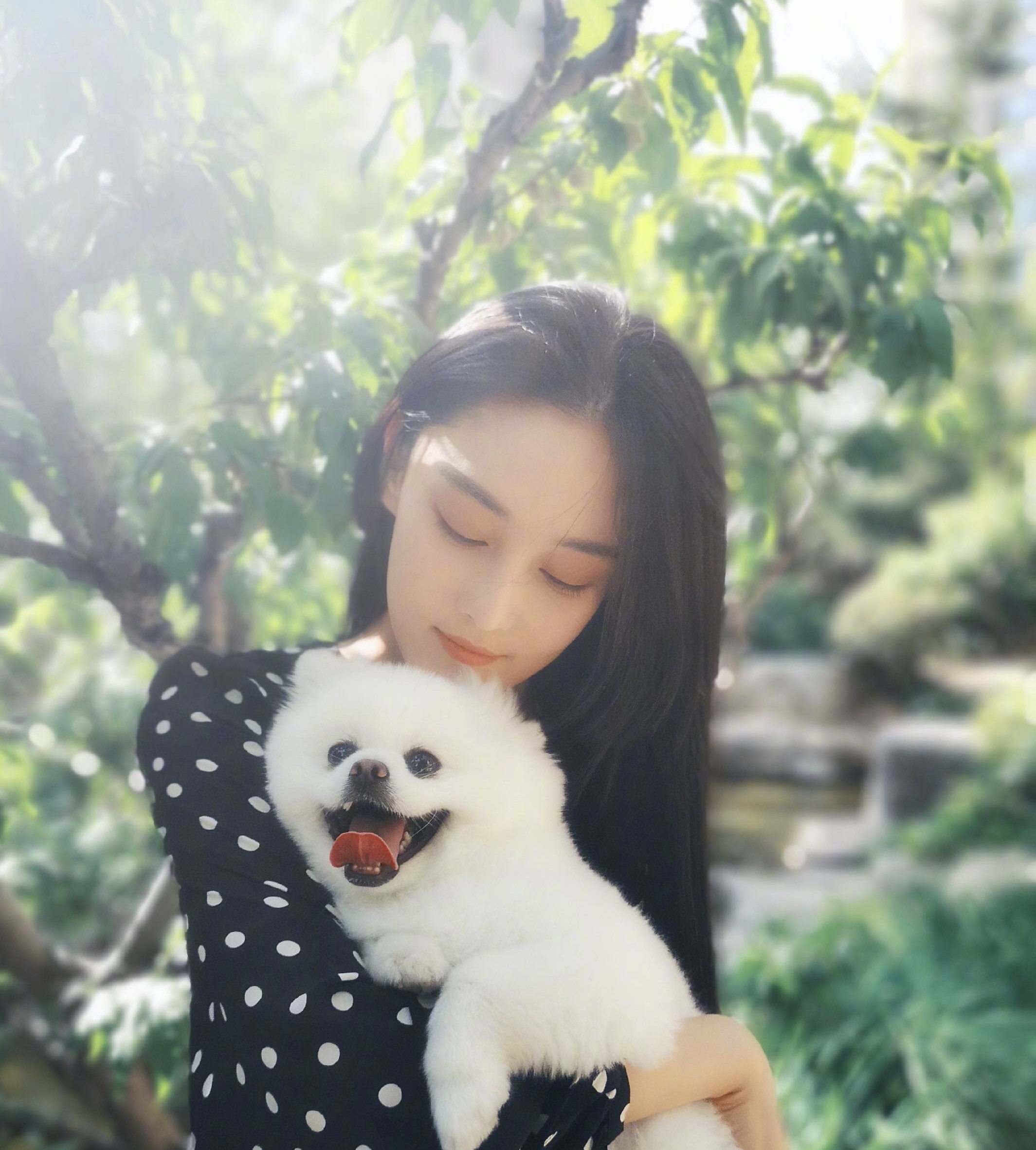 张馨予找代购被骗晒出聊天记录,沈梦辰张馨予代购是真的吗