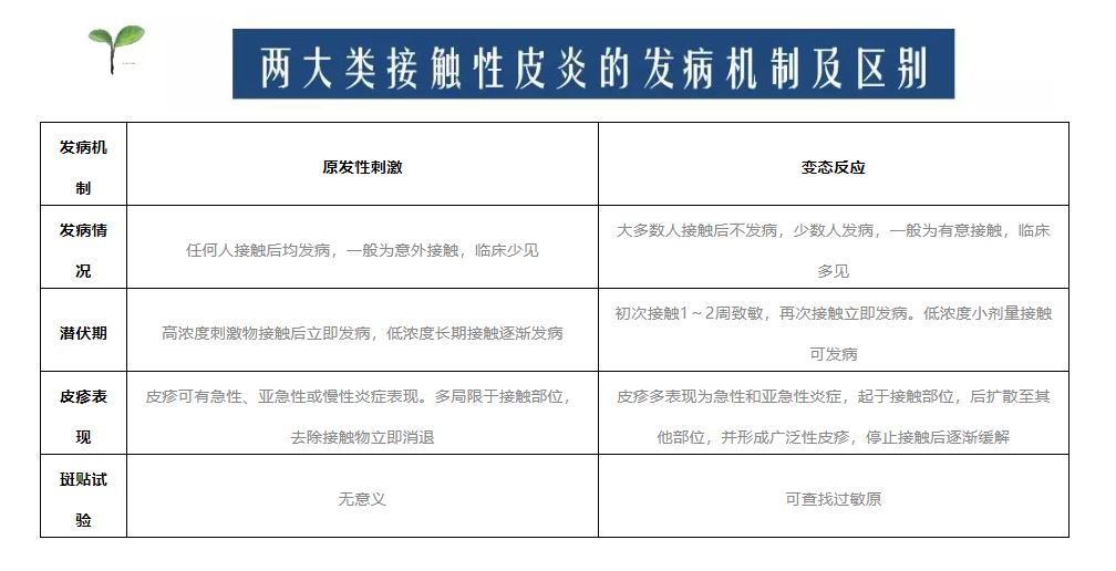 后背贴完膏药特别痒怎么回事,戴完手表手上起红印