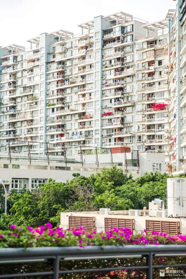 罗湖区莲塘有什么好玩的,罗湖莲塘风景