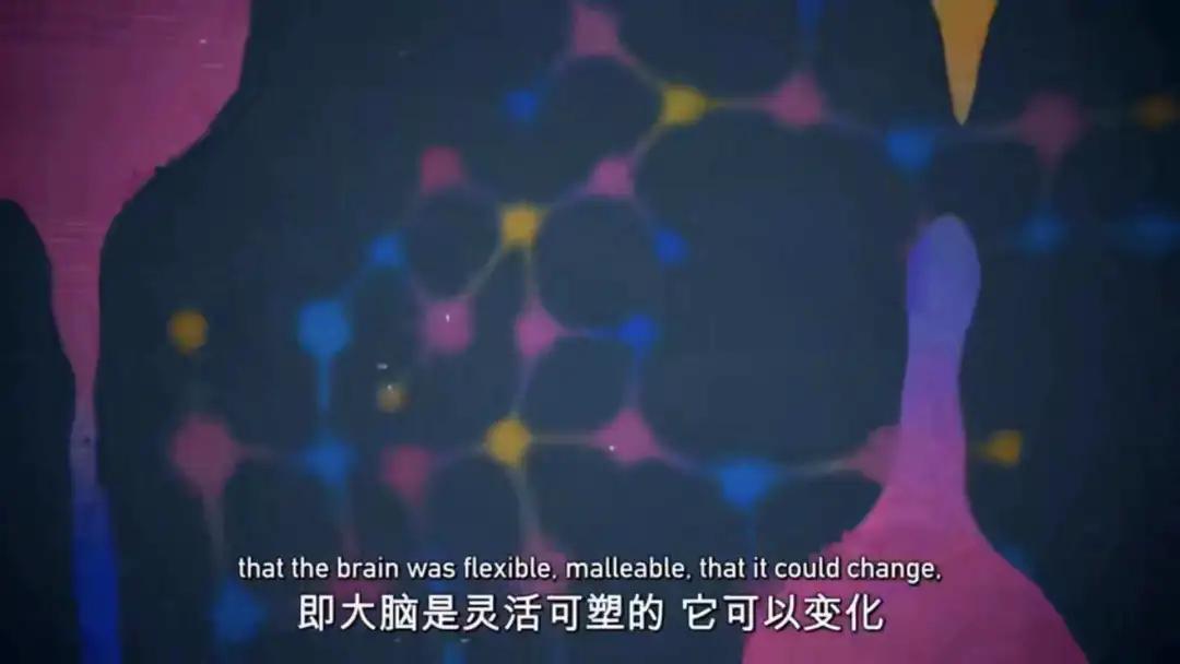 冥想入门课从0开始了解冥想,冥想的本质是什么样子