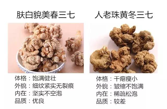 三七活血化瘀提高免疫力,三七食疗活血化瘀