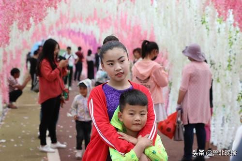 首届中华紫藤花文化旅游节,首届紫藤花旅游节
