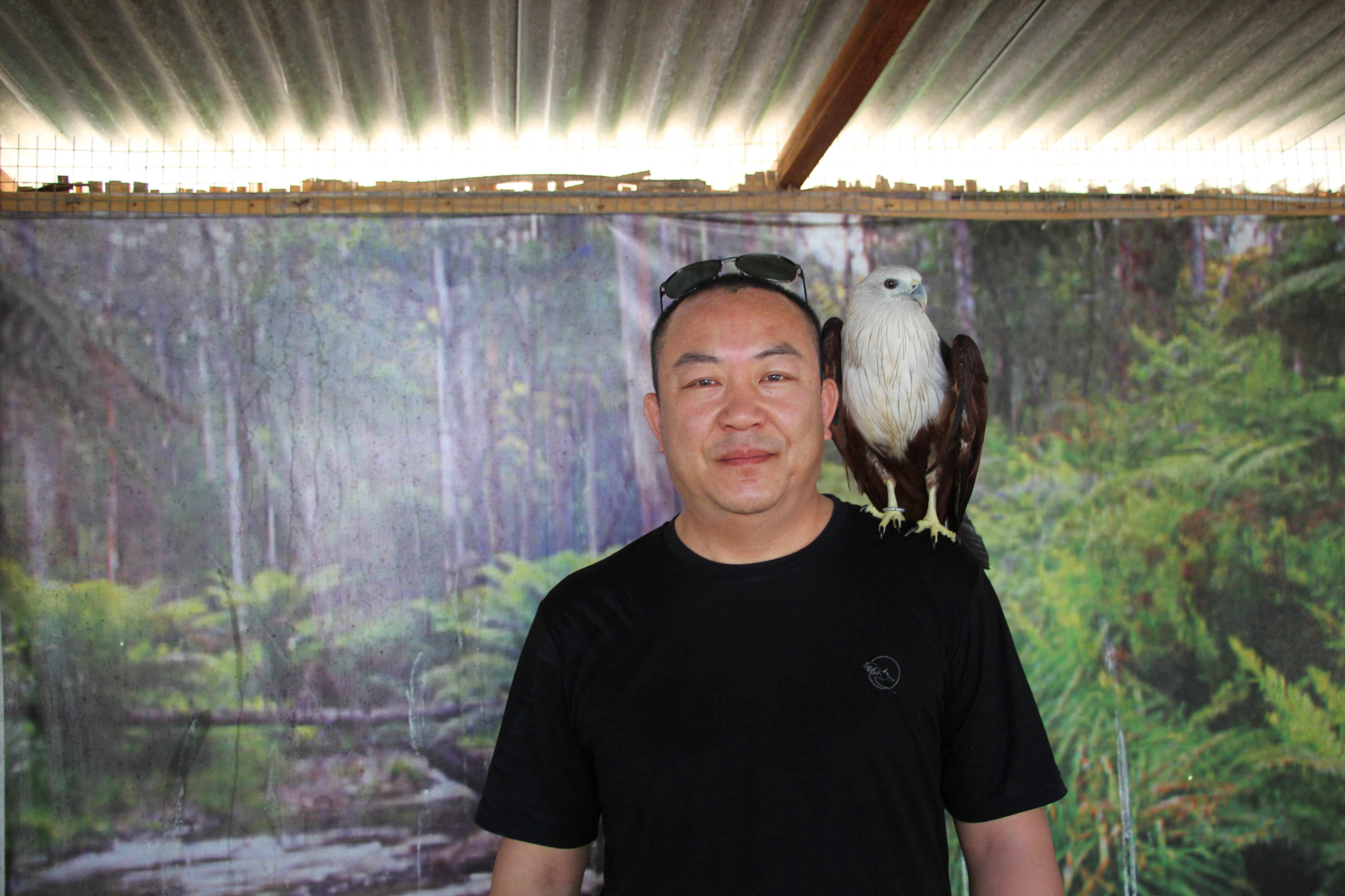 天堂之岛巴厘岛，半自由行攻略和必去景点