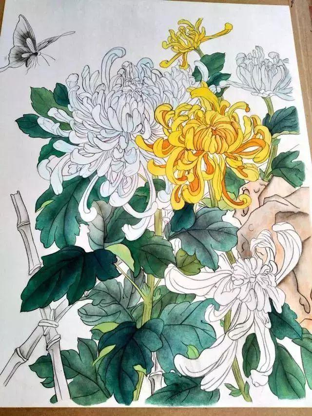 国画菊花教程工笔,工笔国画教程菊花蓝蝶