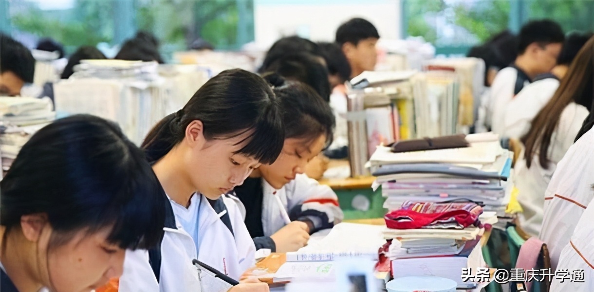 七龙珠学费一览表,七龙珠的学费