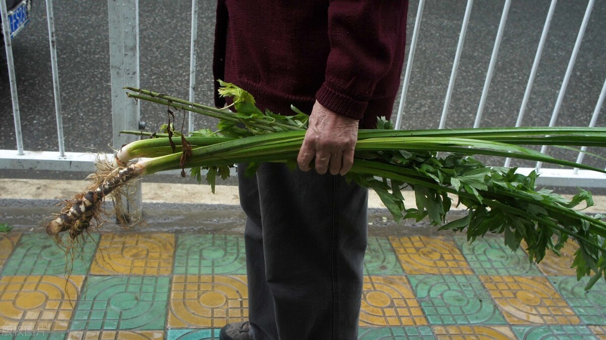 端午节割艾有什么讲究,端午节挂艾的讲究