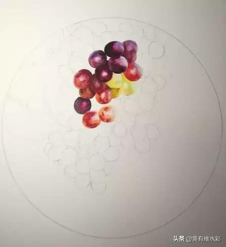 晶莹剔透的葡萄,水彩葡萄图片