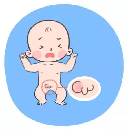 今天来讲讲男宝蛋蛋可能遭遇的那些事