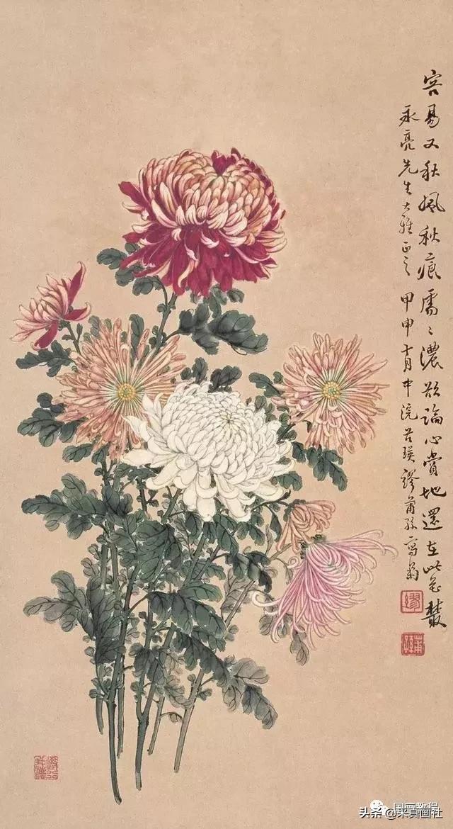 国画菊花技法绘画教程,国画菊花的基本画法