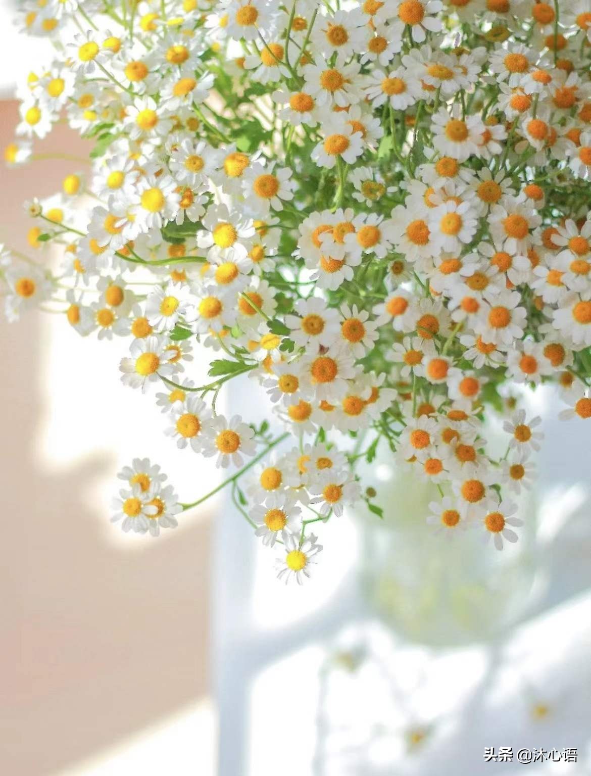 走了下坡路腿软怎么办,走在下坡路上