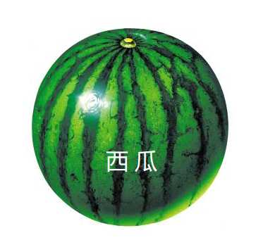 净水器真的能净化好水吗,净水器都能净化什么