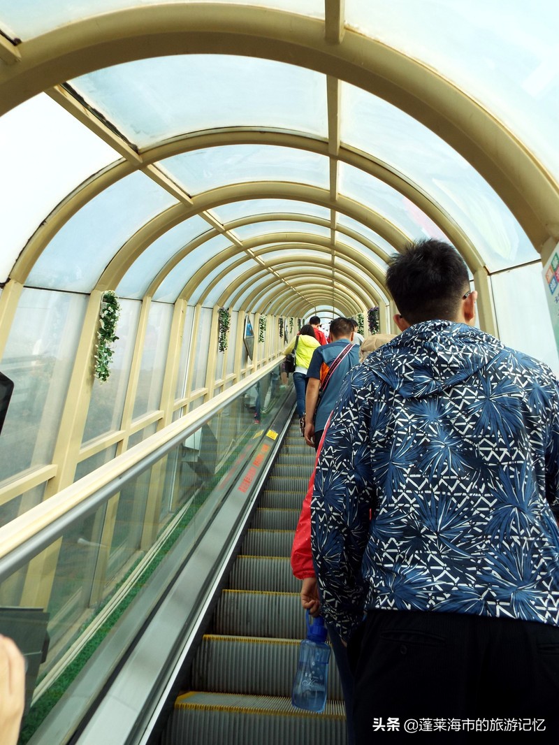 宁夏沙坡头旅游攻略,宁夏沙坡头游记