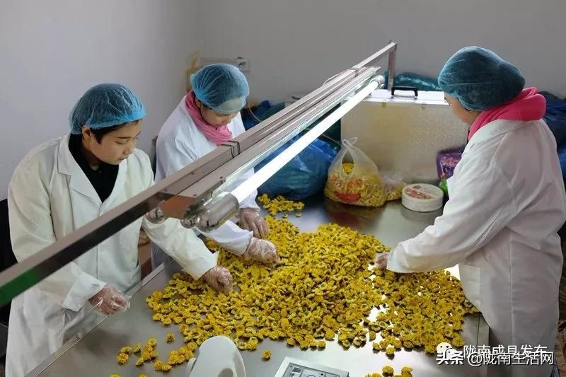 我叫成县，这是我2019年的自拍照