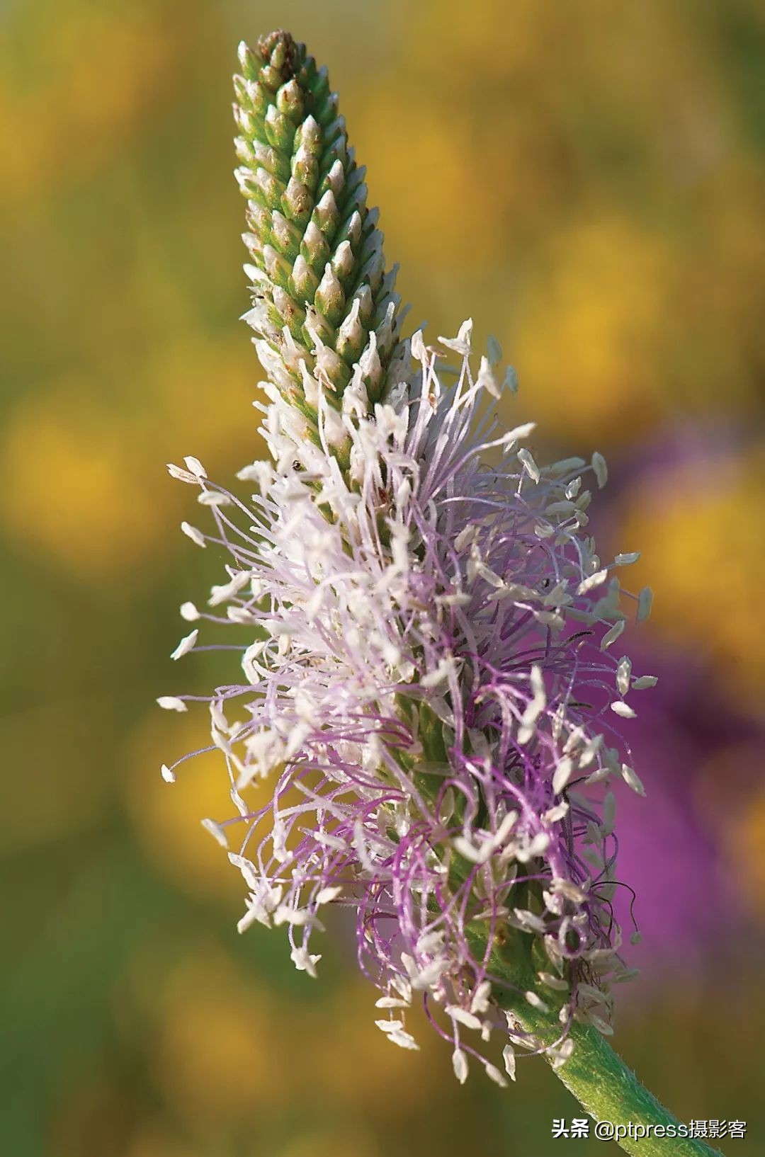 光圈值越大光圈越大正确还是错误,相机光圈与镜头光圈的关系