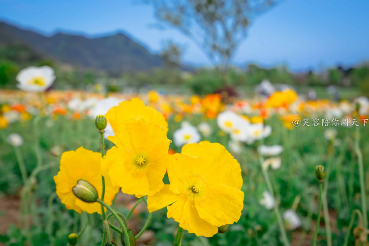 4天3晚只要800贵州攻略,4天3晚有什么好玩的地方