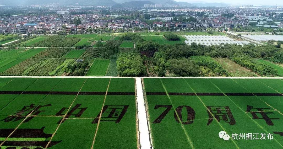 震撼!钱塘江畔出现巨型画作,有28个足球场这么大!