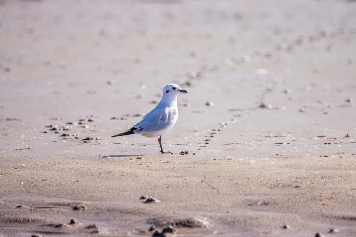 eos90d拍风景参数,eos90d使用教程
