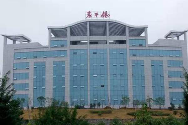 老干妈陶华碧事迹感悟,老干妈陶华碧创业故事