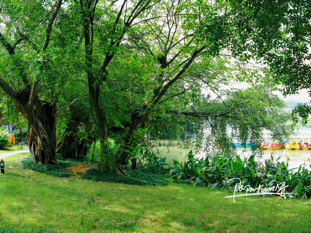 福州打卡风景区有哪些,福州白塔旅游攻略