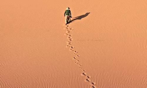 战略合作！刷脸喵携手布丁连锁酒店，共创美好未来