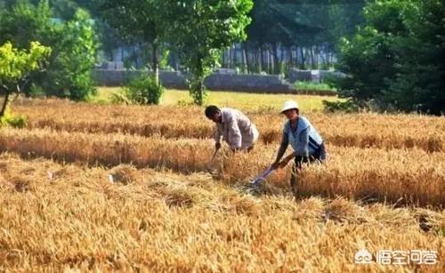 李本聪:致劳动者