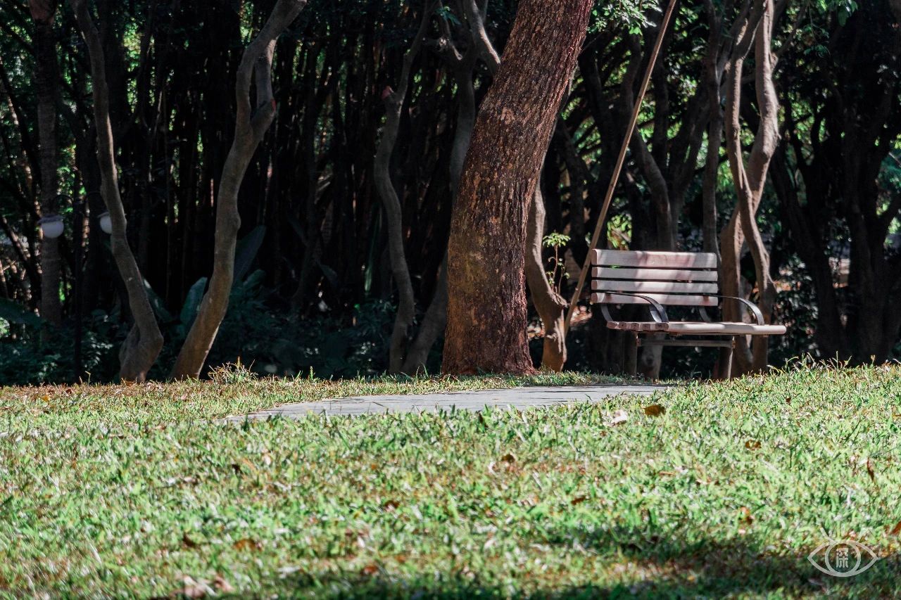 深圳各区最美的地方,深圳6个绝美地方