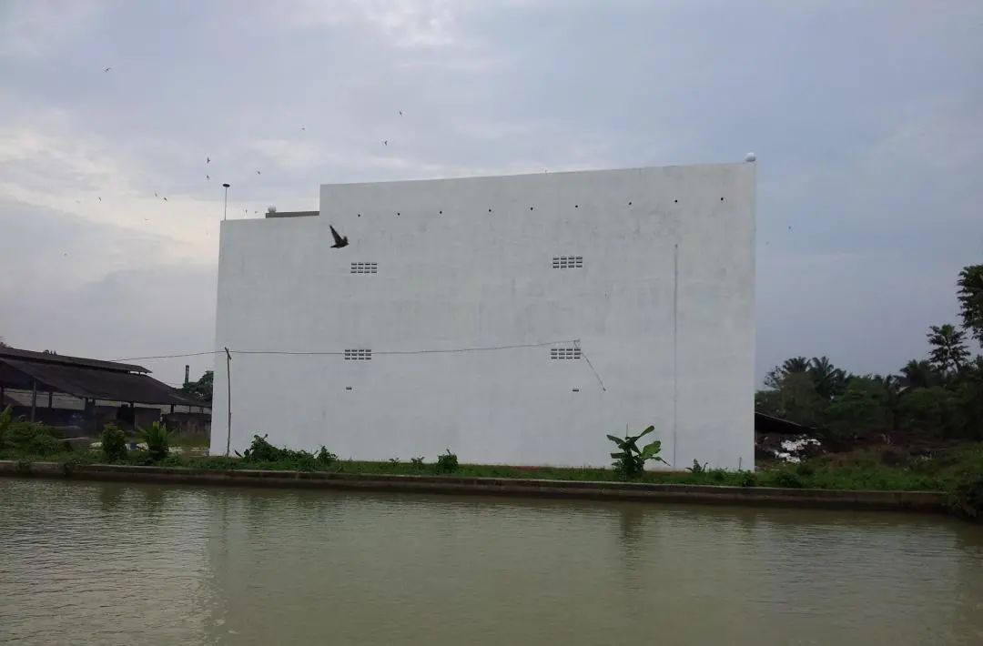 潮牌品牌创始人创业故事,潮牌鼻祖亏损7亿