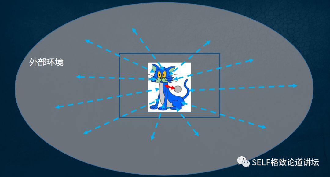 量子物理谜团薛定谔的猫已被破解 (量子计算机是否验证了薛定谔的猫)