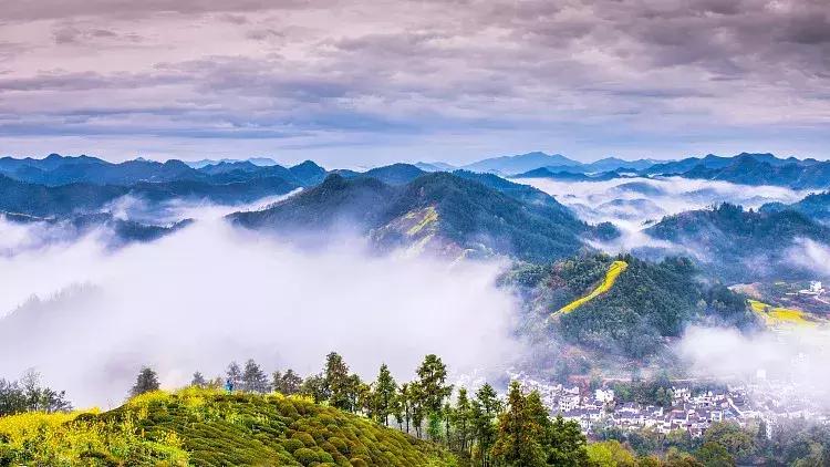 杭州1.5h就有不输清迈的丛林树屋