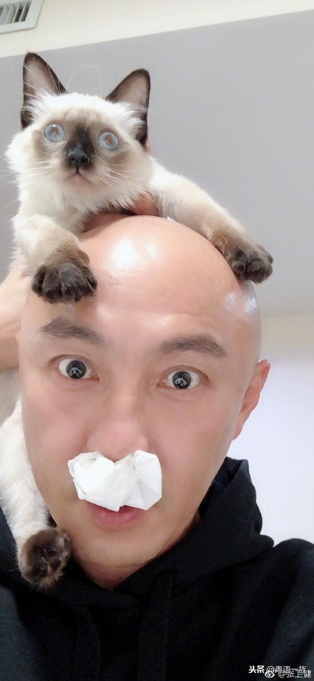 tvb跳跃生命线第25集好感人的画面,跳跃生命线10-15第五集剧情介绍