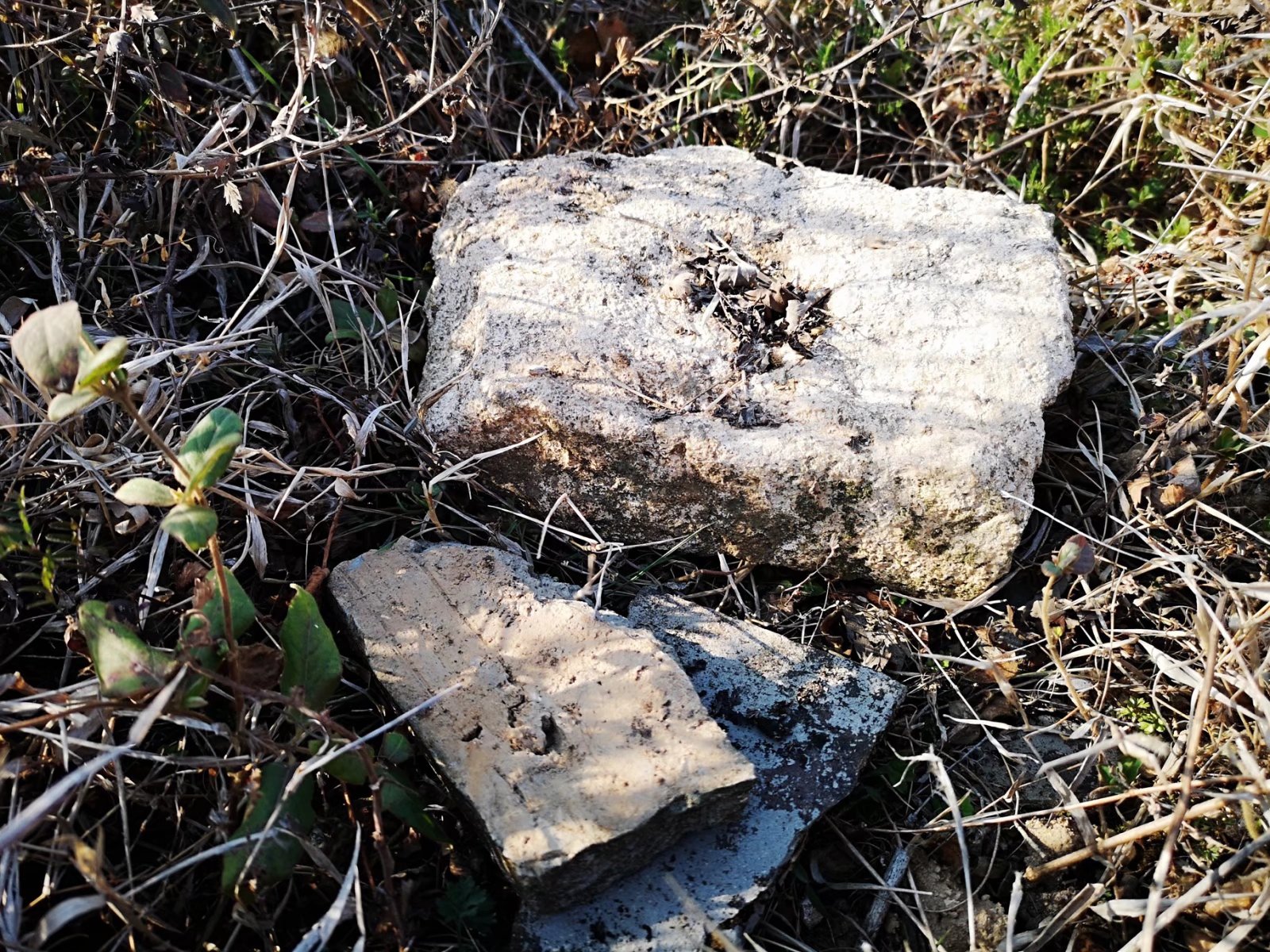 摩托周边旮旯游——探访蚌埠李楼鲁山寺遗址（上）