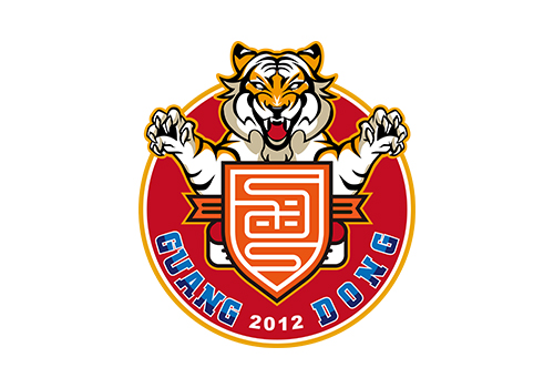 一支足球球队要多少钱,广东华南虎球员身价