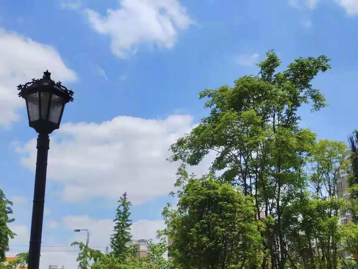 老公喜欢跟别的女人聊暧昧怎么办,老公喜欢和别的女人聊天怎么解决