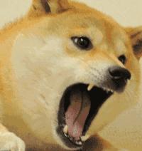 大家好，我是渣渣辉！今天教大家拼音的标准发音和练习技巧...