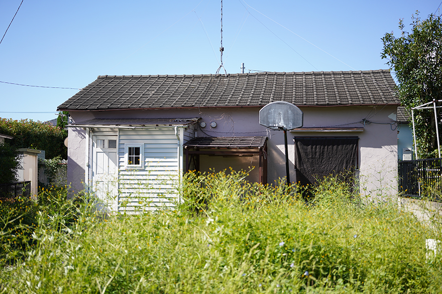 福伦达apolantahr50,福伦达50mmf1.0索尼e卡口