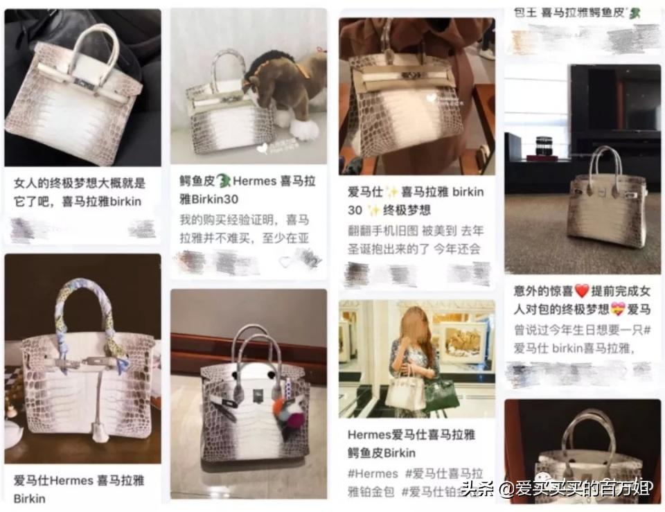 爱马仕白富美,十大漂亮爱马仕