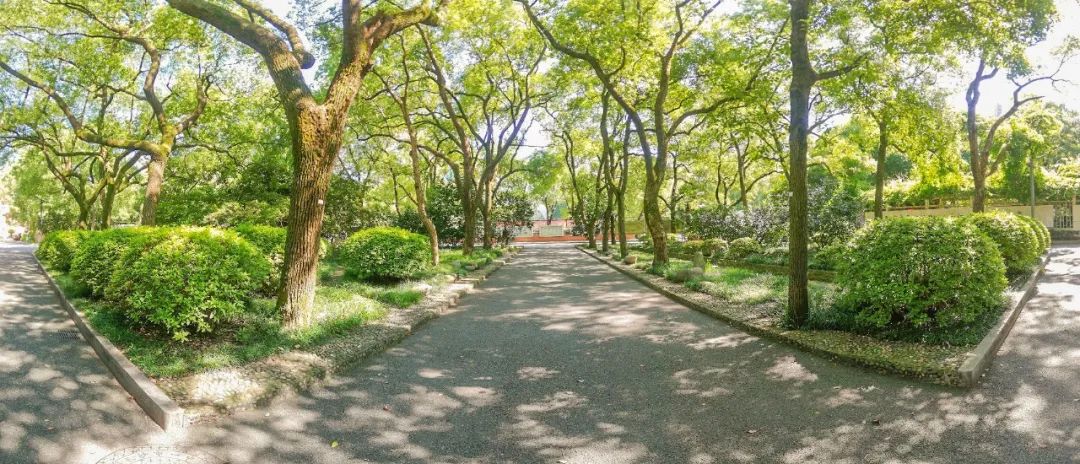 青年毛主席,榜首进一中!他曾就读的长沙市一中究竟有多牛?