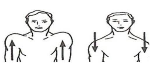 坐姿划船如何练整个背部,练完俯身划船腰背特别疼