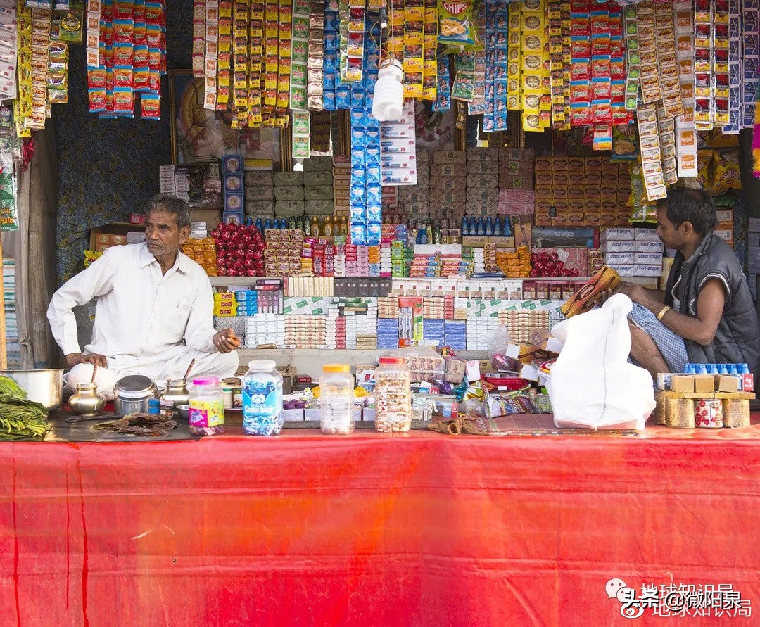 印度，“野生便利店”|地球知识局