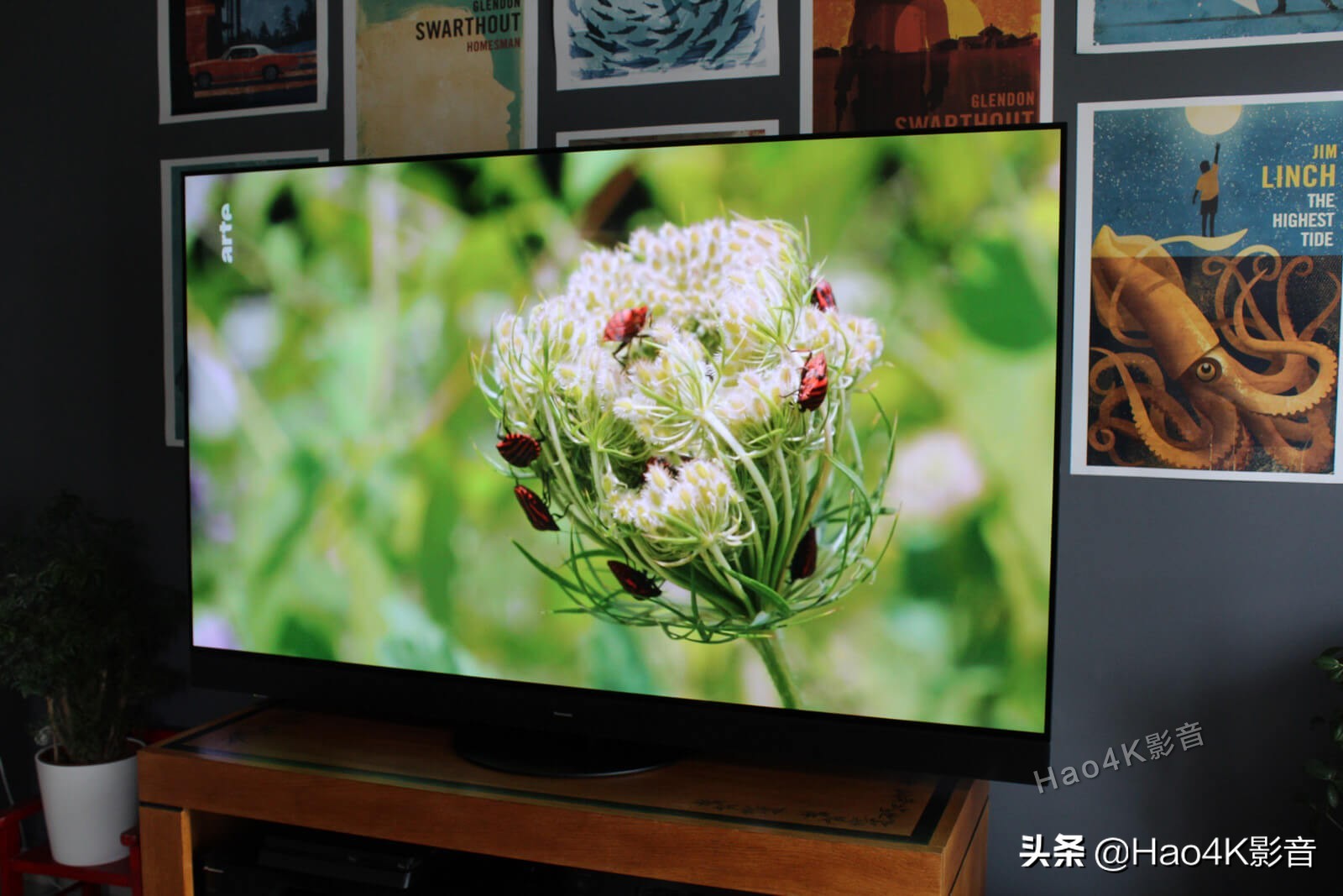 鏉句笅鐢佃jz2000,鏉句笅tx65jz2000娴嬭瘎